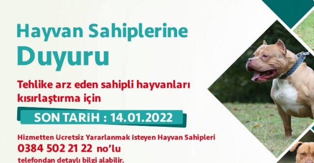 Nevşehir'de yasaklı ırk köpekler ücretsiz kısırlaştırılacak 