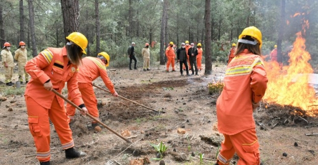 Orman yangılarında mücadeleye hedef 100 bin gönüllü 
