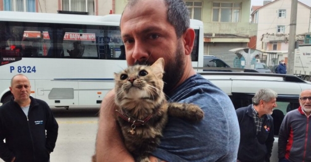 Duvara sıkışan kediyi Kocaeli Büyükşehir İtfaiyesi kurtardı