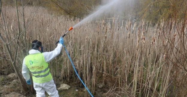 Kocaeli İzmit Belediyesi sivrisinek ile  mücadele çalışmalarına hız verdi