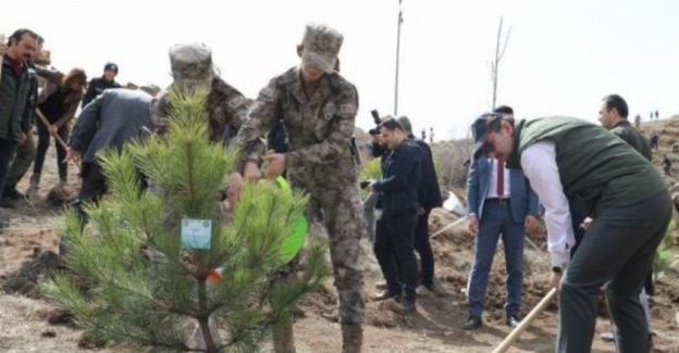 Sivas'ta 'Polis Hatıra Ormanı' oluşturuldu