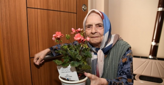 İstanbul Kadıköy'de 80 yaş üstü annelere sardunya