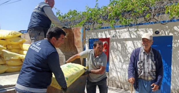 İzmir Güzelbahçe'de çiftçilere 'kükürt' desteği