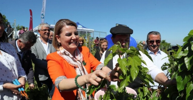 Kocaeli İzmit Belediyesi  İpek Böceği Besleme Evi’ni hizmete açtı