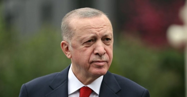 Erdoğan: Son 20 yılda 5,9 milyar fidan dikildi