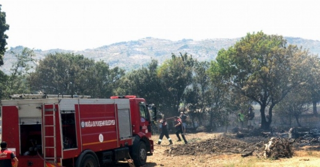 Muğla Büyükşehir ekiplerinden yangına topyekün müdahale
