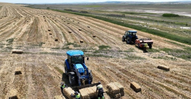 Çiftçiye online arpa ve buğday tohum desteği
