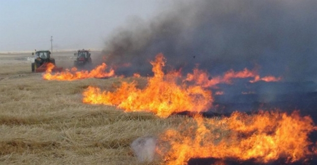 Sakarya'dan 'tarımsal faaliyetlerde ateş yakmayın' uyarısı