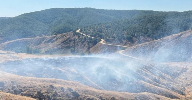 Bingöl’de örtü yangını ormanlık alana sıçramadan söndürüldü
