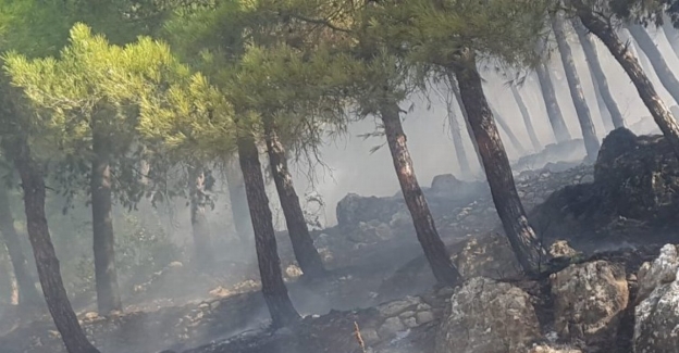 Hatay Antakya'da'daki yangın büyümeden söndürüldü