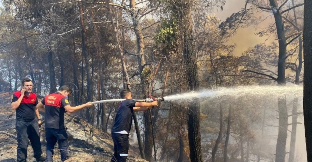 Muğla Büyükşehir, Marmaris yangınına seferber oldu