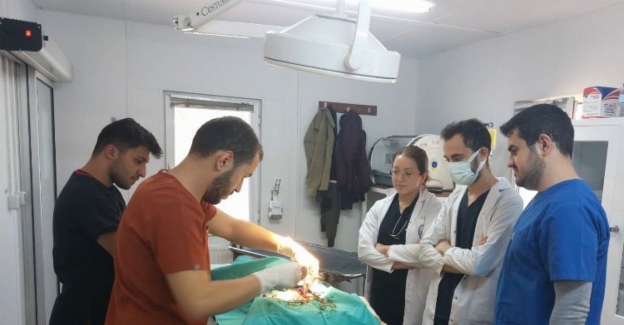 Bursa Osmangazi'de veteriner hekim adaylarına uygulamalı eğitim