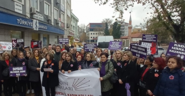 CHP'li kadınlar 25 Kasım için meydanlarda