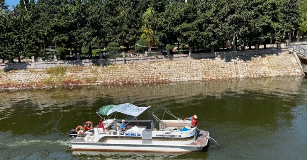 Hatay'da Asi Nehri'nin temizliğine kollar sıvandı