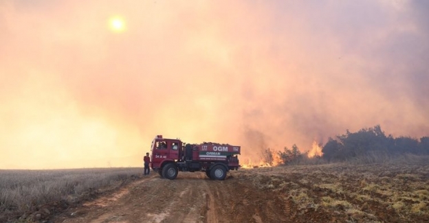 Malkara'daki orman yangını söndürüldü