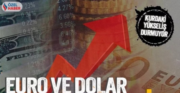 Dolar yükselecek mi? Türk lirası değerlenecek mi?