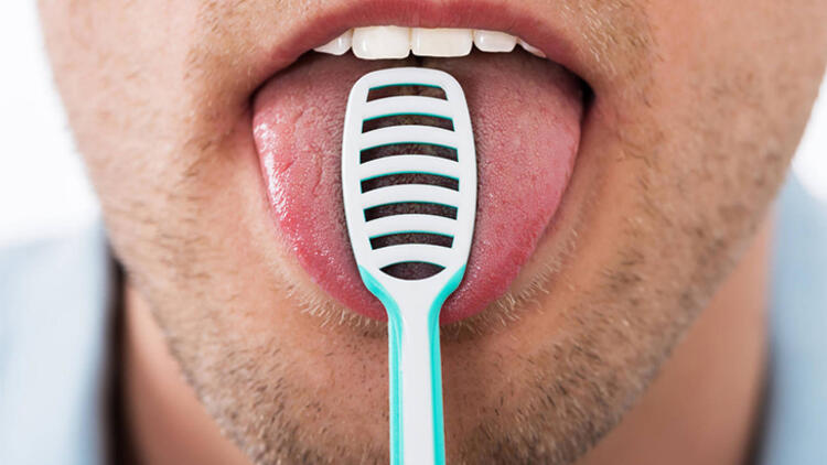 2-Dil fırçalama