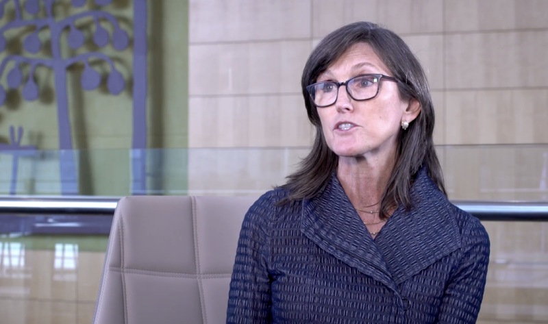 ARK CEO’su Cathie Wood: Fed ekonomiyi değil, kendisini düşünüyor