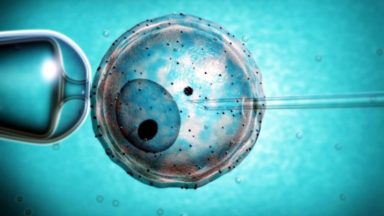 Dondurulmuş embriyolardan doğan çocuklarda kanser riski yüksek!..