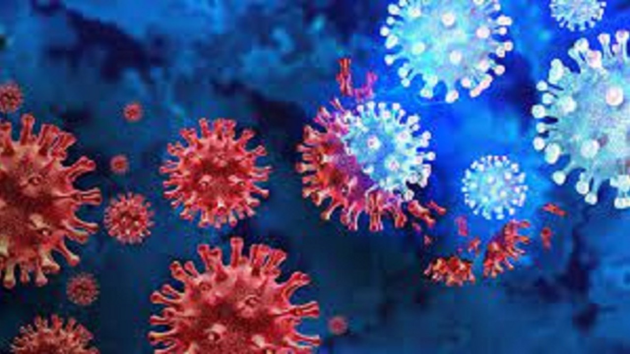 Endişe yaratan yeni koronavirüs varyantı XBB'ye dair tüm bilinenler