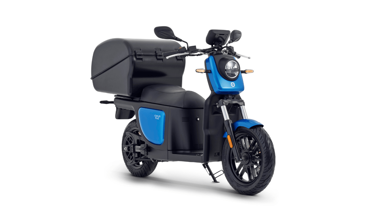 Ford Otosan'dan elektrikli mobilite odaklı yeni şirket: Rakun Mobilite