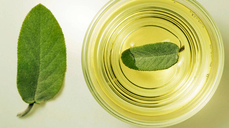 Yeşil çayın antioksidan içeriği yüksek, kafein miktarı daha az